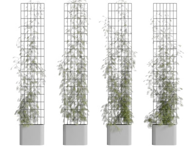 现代花盆盆栽植物墙