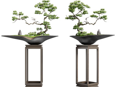 新中式盆景盆栽