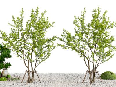 现代园林景观园艺小品