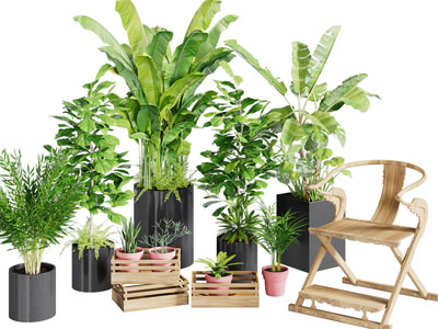 新中式休闲椅子、盆栽植物