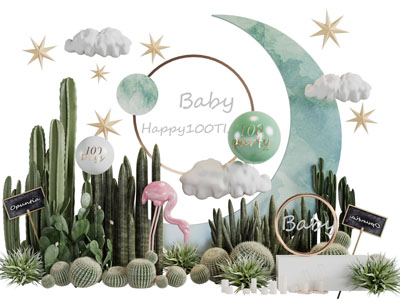 现代多肉植物美陈