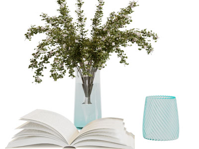 现代花瓶花卉、书籍摆件组合