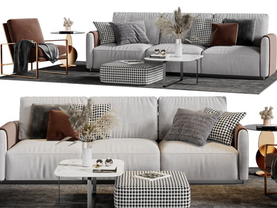 现代多人沙发、休闲椅子和茶几组合