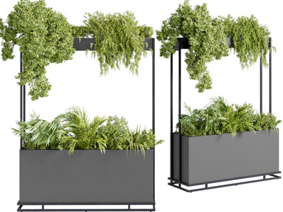 现代悬挂式花盆盆栽植物