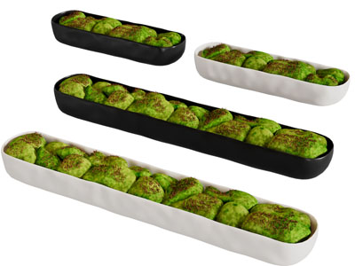 现代条形碟子里的食物3d模型 现代条形碟子里的食物