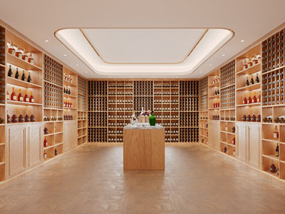 现代酒窖