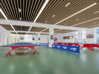 现代乒乓球馆