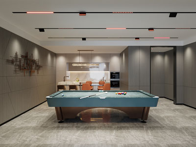 现代休闲室、台球室