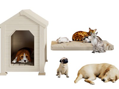 现代宠物狗舍、猫舍