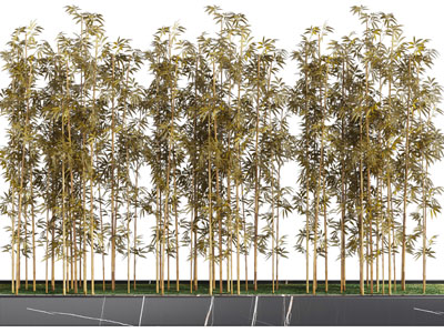 新中式庭院花坛竹子