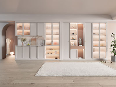 现代装饰玻璃柜门的装饰柜