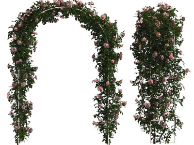 现代装饰玫瑰花的门拱3d模型 现代装饰玫瑰花的门拱