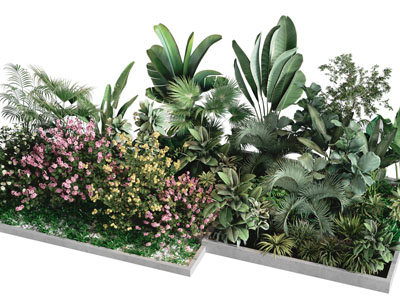 现代庭院花坛花草绿植