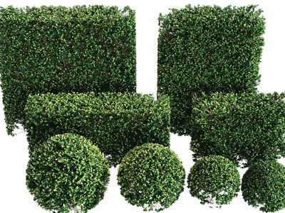 现代方形、圆形园艺灌木绿植