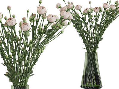 现代盛开的芍药花花瓶花卉