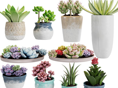 现代陶艺花盆盆栽多肉植物