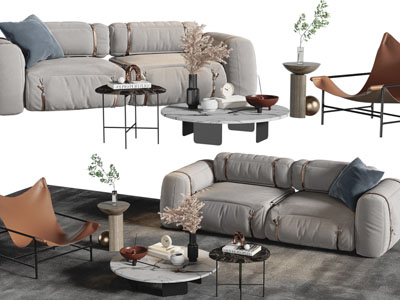 现代双人沙发、休闲椅子和茶几组合