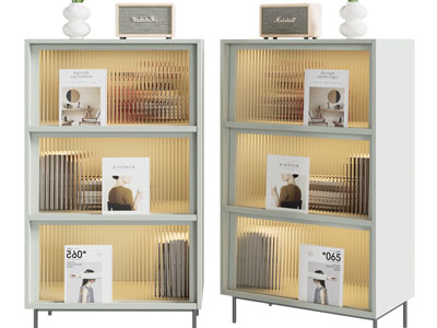 现代透明柜门的书柜