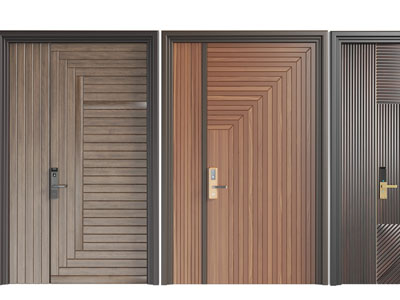 现代条纹纹理的入户子母平开门