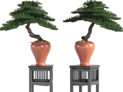 中式花架盆景盆栽