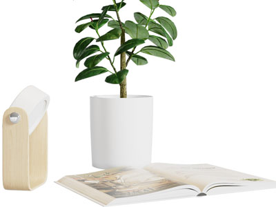 现代书籍、花盆植物摆件