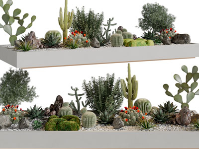 现代户外花坛多肉盆栽植物