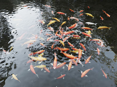 现代公园鱼群景观园艺小品