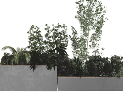 现代户外水泥花坛花草植物