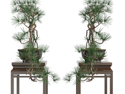 新中式实木花架盆景盆栽