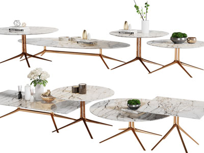现代轻奢圆形、椭圆形茶几