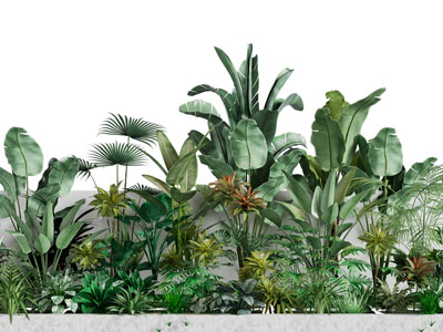 现代户外花坛花草植物