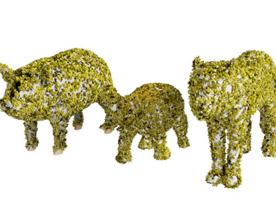 动物造的景观灌木