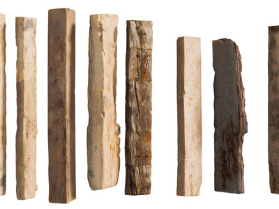 破旧的原木木桩、板子3d模型 破旧的原木木桩、板子