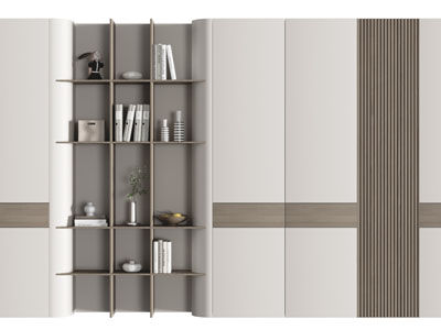 现代摆放书籍的装饰柜