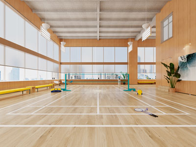 现代羽毛球馆
