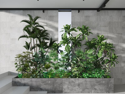 现代长方形花坛盆栽植物