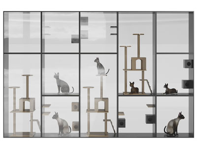 现代宠物猫爬架、猫房子
