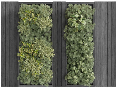 现代实木植物墙