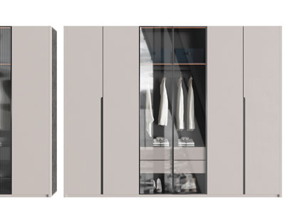 现代装饰玻璃柜门的衣柜3d模型 现代装饰玻璃柜门的衣柜