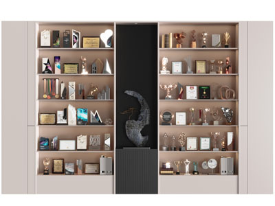 现代奖杯、奖状收纳展示柜