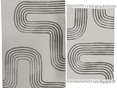 现代长方形带流苏的地毯