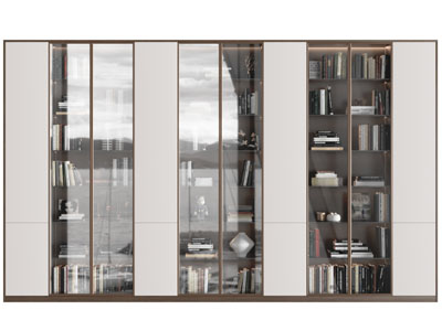 现代玻璃柜门的装饰柜