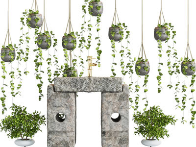 水泥花盆的藤蔓植物、洗手台