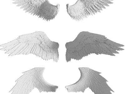 不同造的翅膀