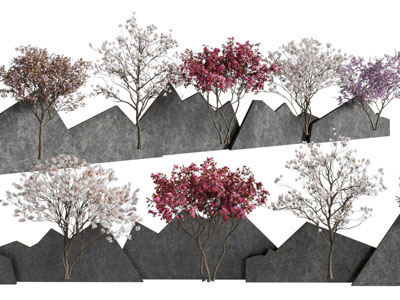 现代开满花朵的景观树木