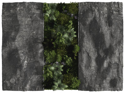 现代岩石植物墙