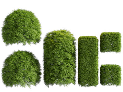 现代景观灌木丛绿植