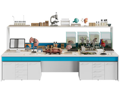 现代动物实验台、动物内脏标本3d模型 现代动物实验台、动物内脏标本