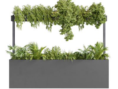 现代户外带花架的盆栽植物