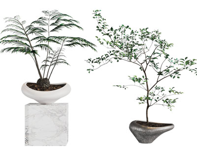 侘寂风创意盆景盆栽